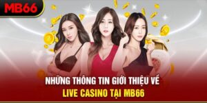 Thông tin giới thiệu về casino MB66